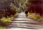 Radfahrer auf Wanderweg