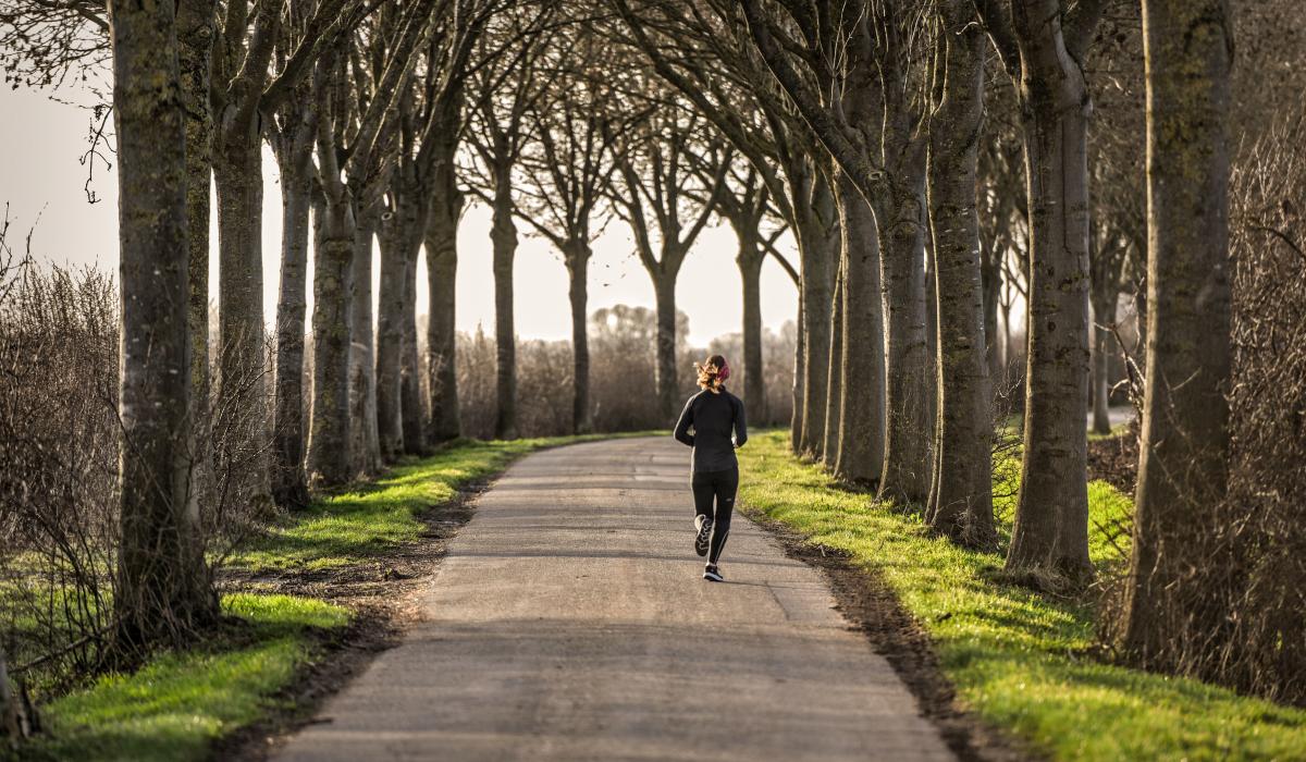 Joggen in der Kranenburger Düffelt (Foto: Markus van Offern/Gemeinde Kranenburg)