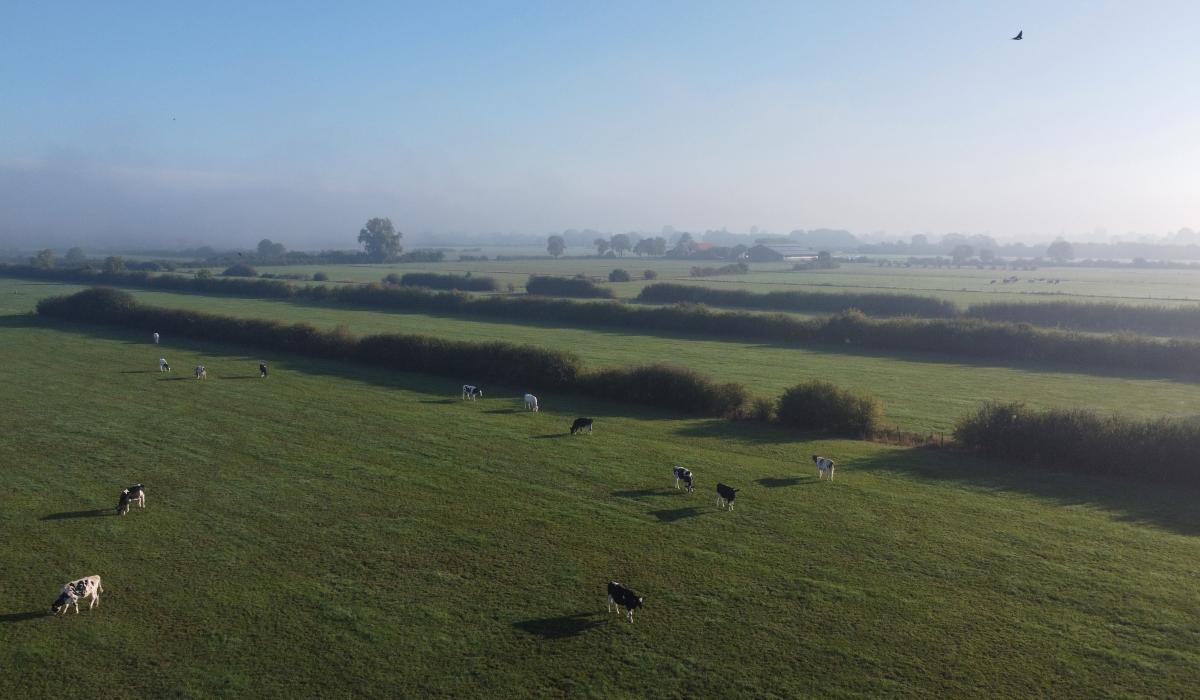 Vogelperspektive: Blick auf die Kranenburger Weiden (Foto: Markus van Offern/Gemeinde Kranenburg)